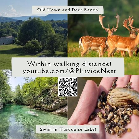 Plitvice Nest 2 Lejlighed Rakovica Eksteriør billede