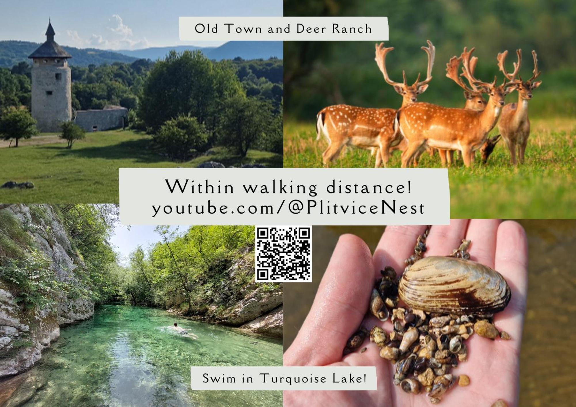 Plitvice Nest 2 Lejlighed Rakovica Eksteriør billede